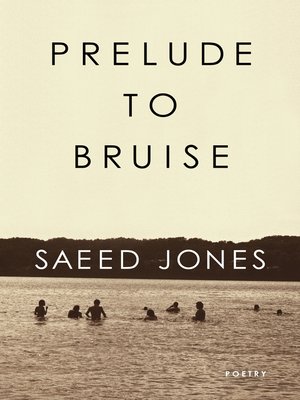 cover image of Prelude to Bruise